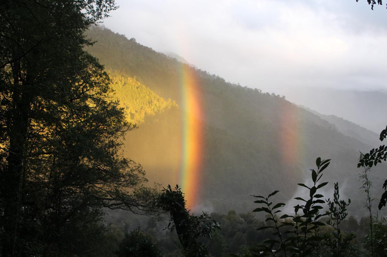 הוילה Coñaripe Cabana Rustica Patagonia Chilena מראה חיצוני תמונה